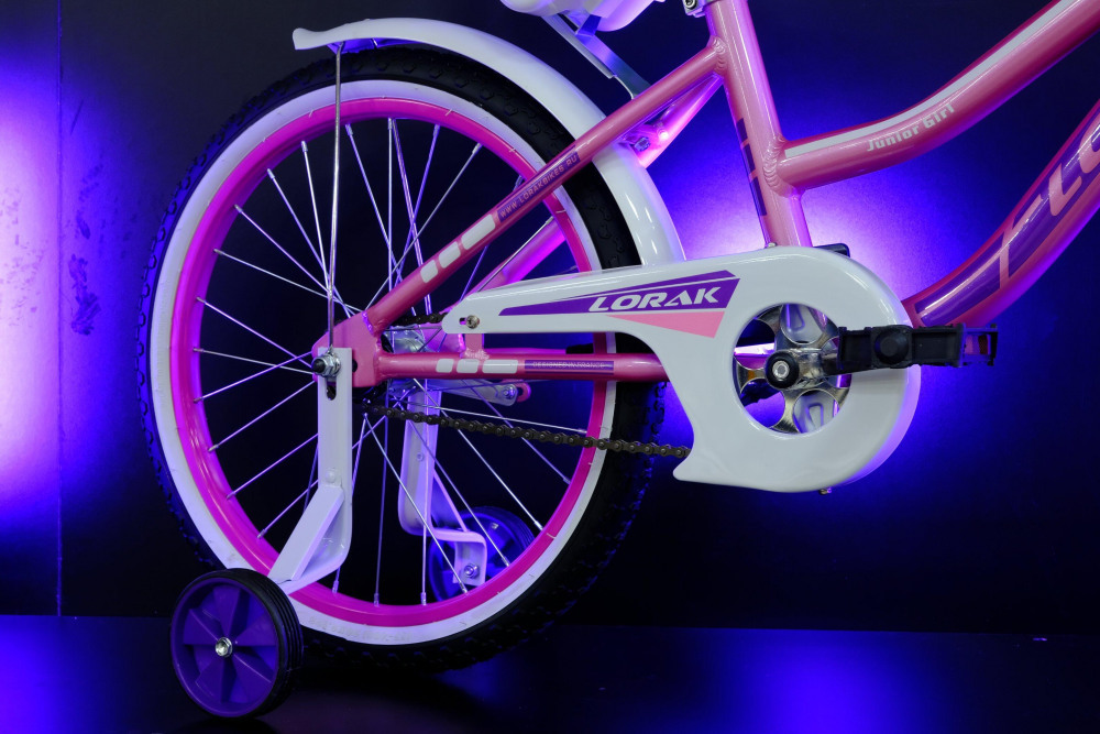 LORAK JUNIOR 20 Girl Doll Розовый/Фиолетовый